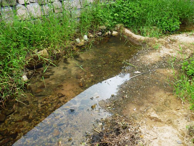 已经没水的小溪