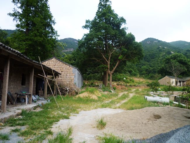 P1000710.JPG