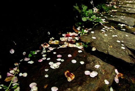 241f03fabe227632d8f9fd6e[1].jpg
