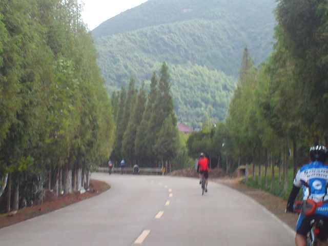 FILE0499.jpg
