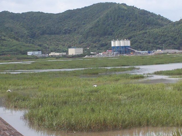 FILE0544.jpg