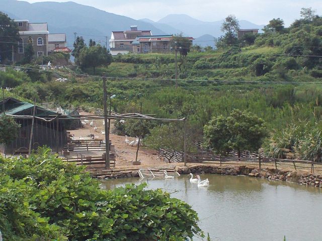 FILE0533.jpg