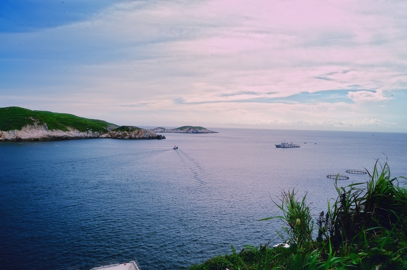 港湾十四.jpg
