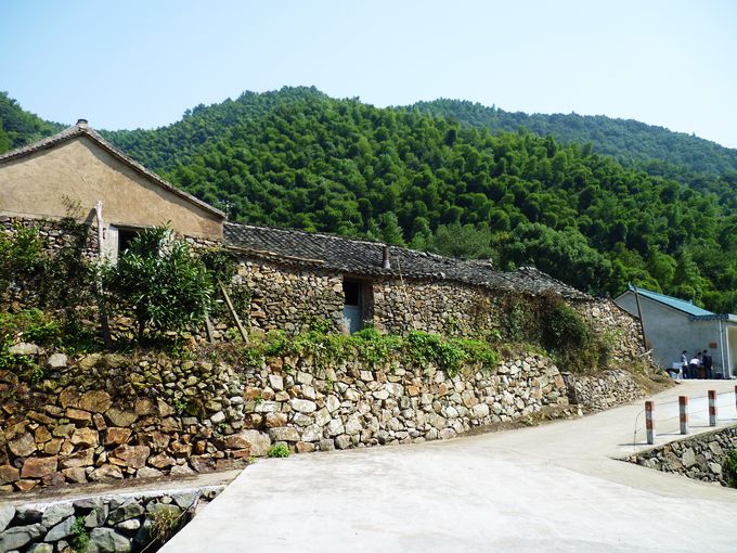 P1010455.JPG