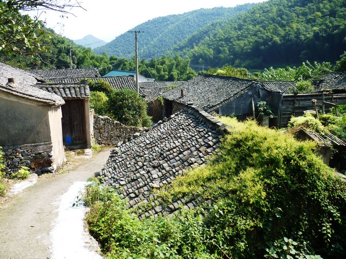 P1010494.JPG
