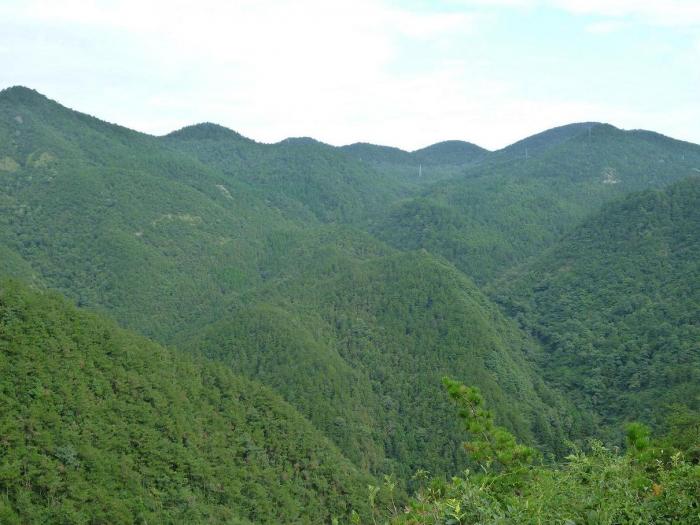 P1020467.JPG