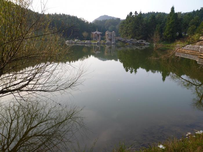 P1020550.JPG