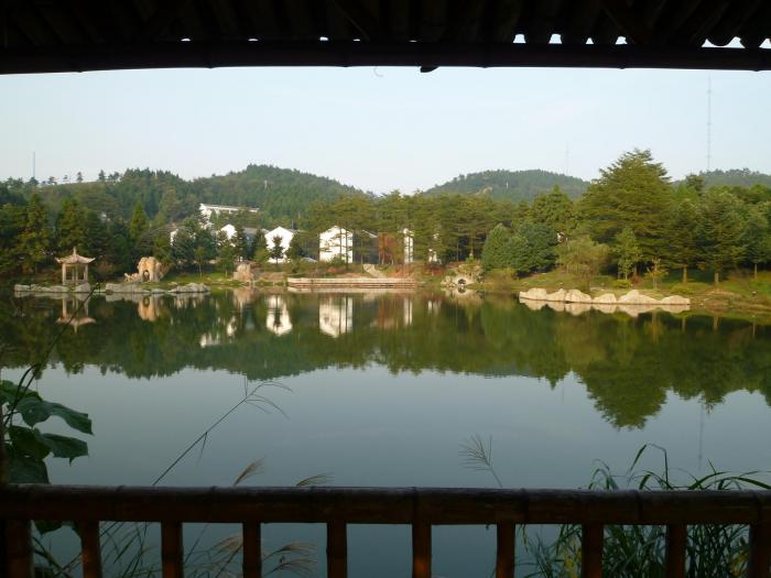 P1020555.JPG