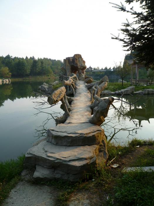 P1020556.JPG