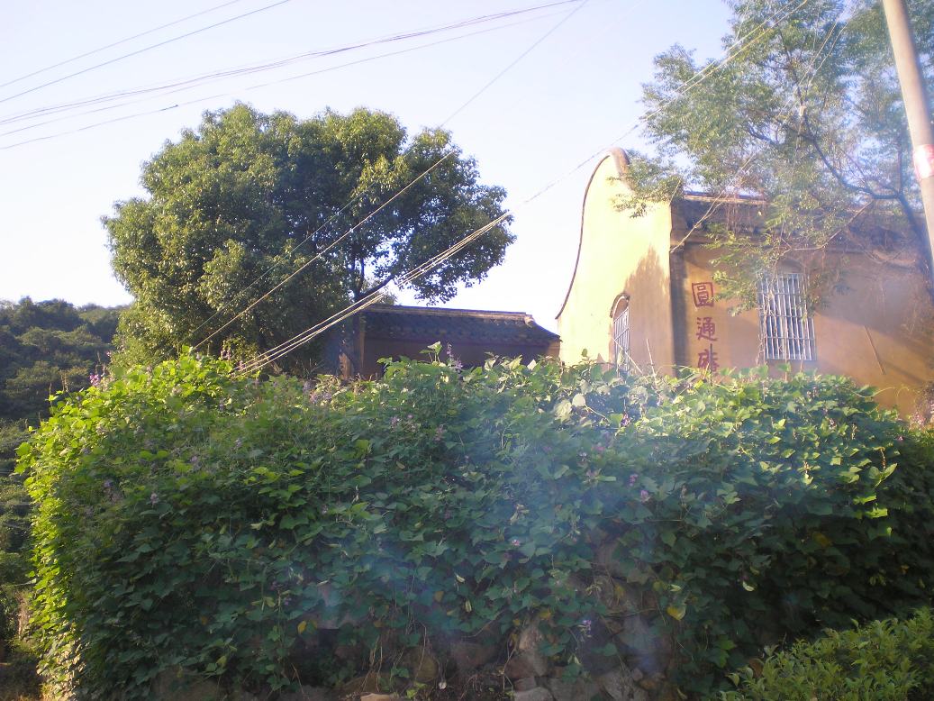 P1010059.JPG
