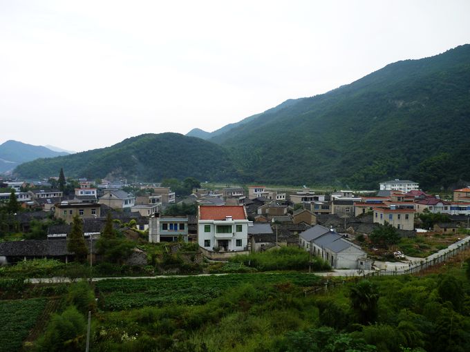 P1010591.JPG