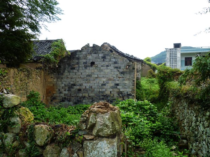 P1010586.JPG