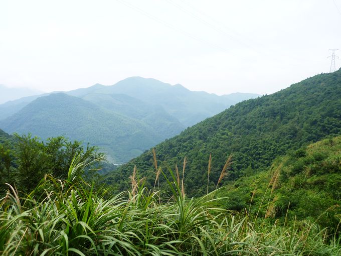 山顶景色