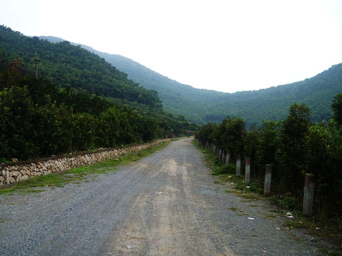 P1010728.JPG