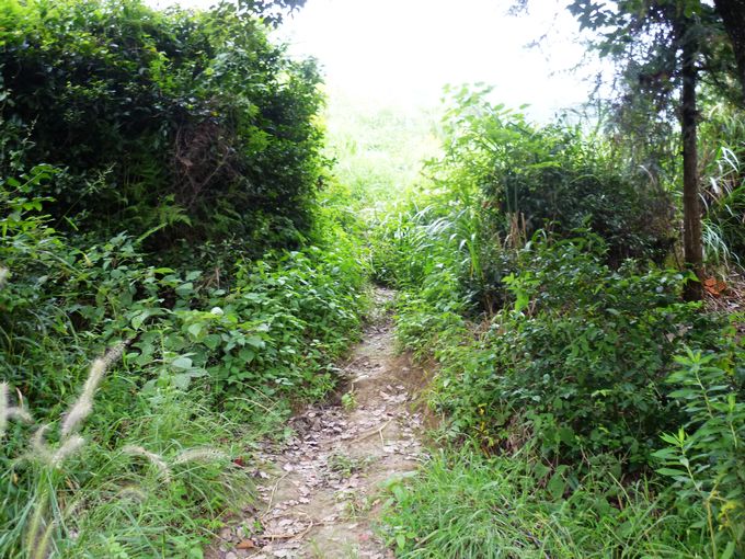 上山