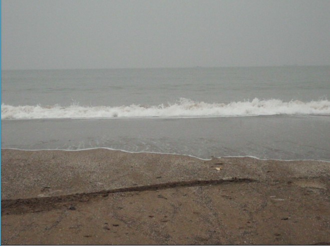 大沙9.jpg
