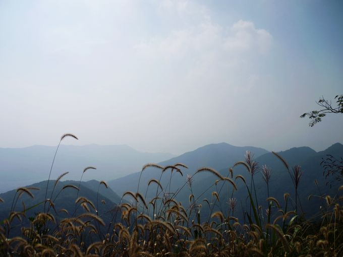 P1010813.JPG