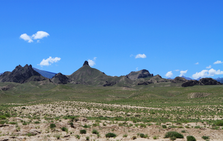 IMG_2217.jpg