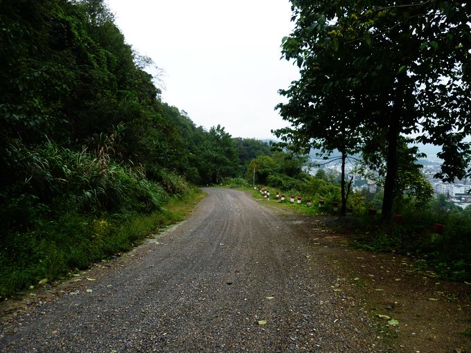 P1010849.JPG