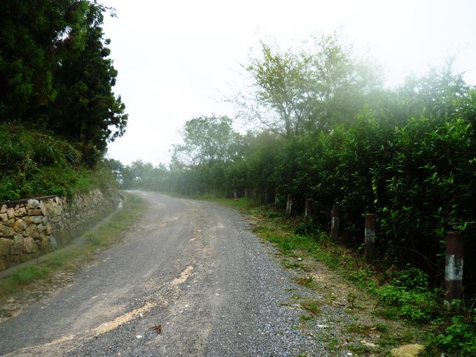 P1010856.JPG