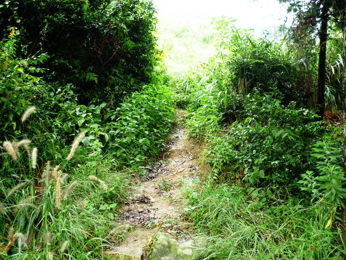 P1010868.JPG