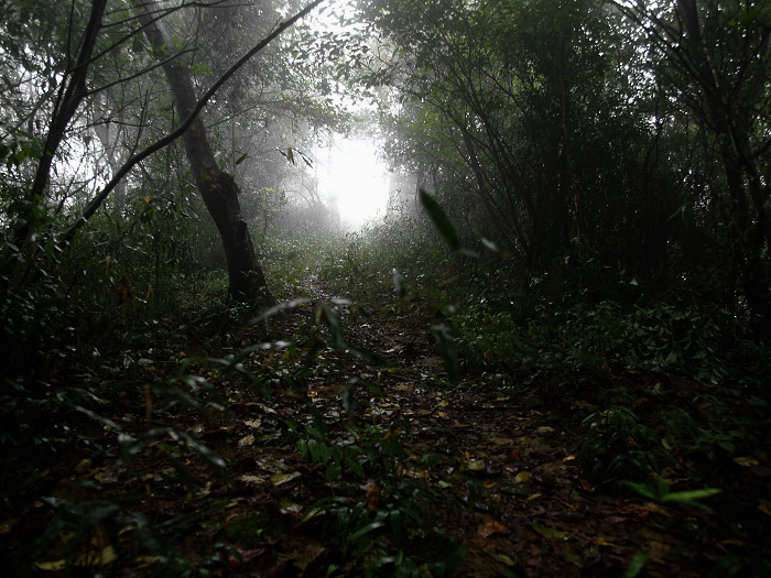 PA245039.jpg
