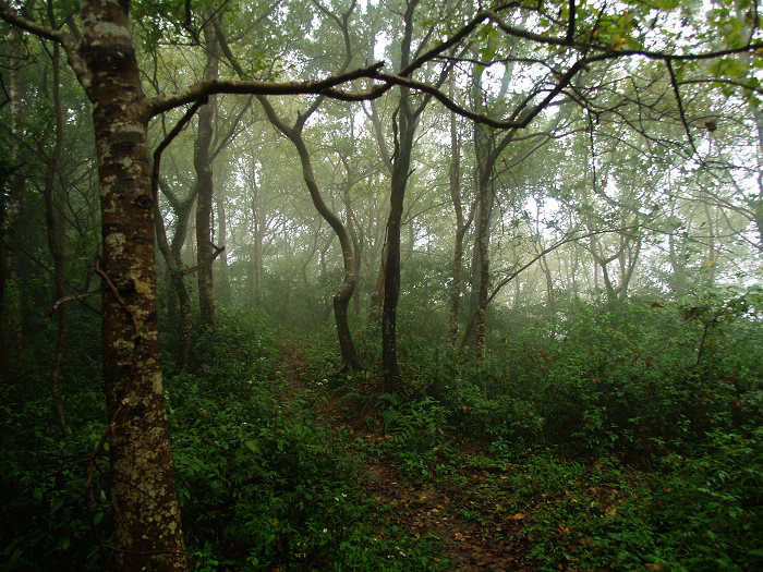 PA245024.jpg