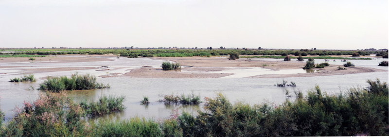 14-17,塔河河滩地14.jpg