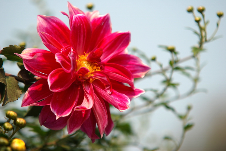 DSC_0081.JPG