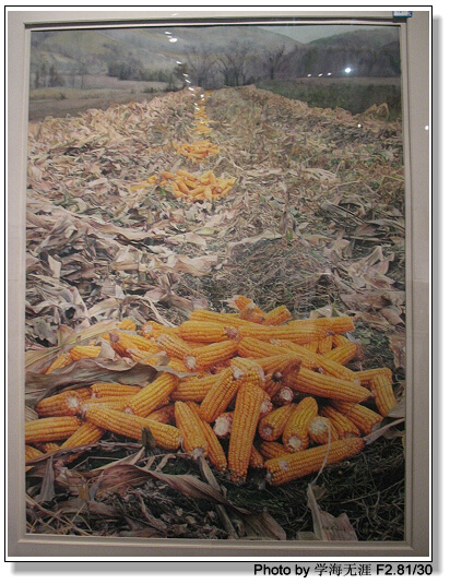 三个画展 223.jpg