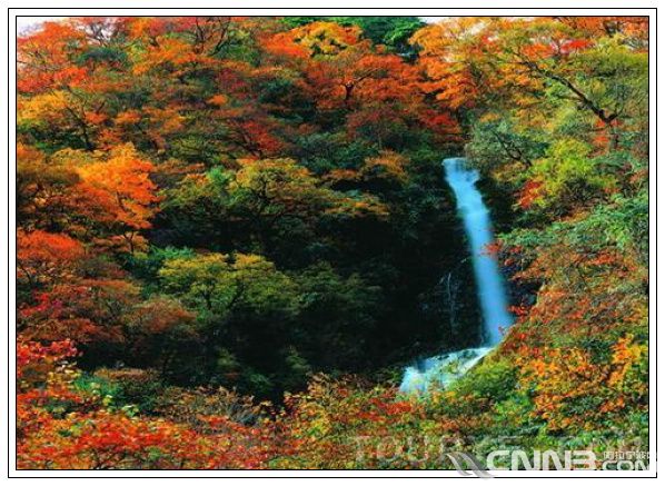 1-3 蒙顶山龙泉.jpg