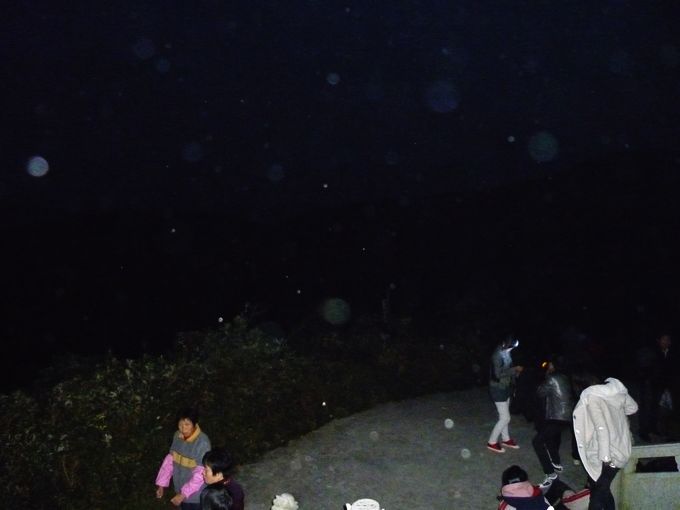 P1020110.JPG