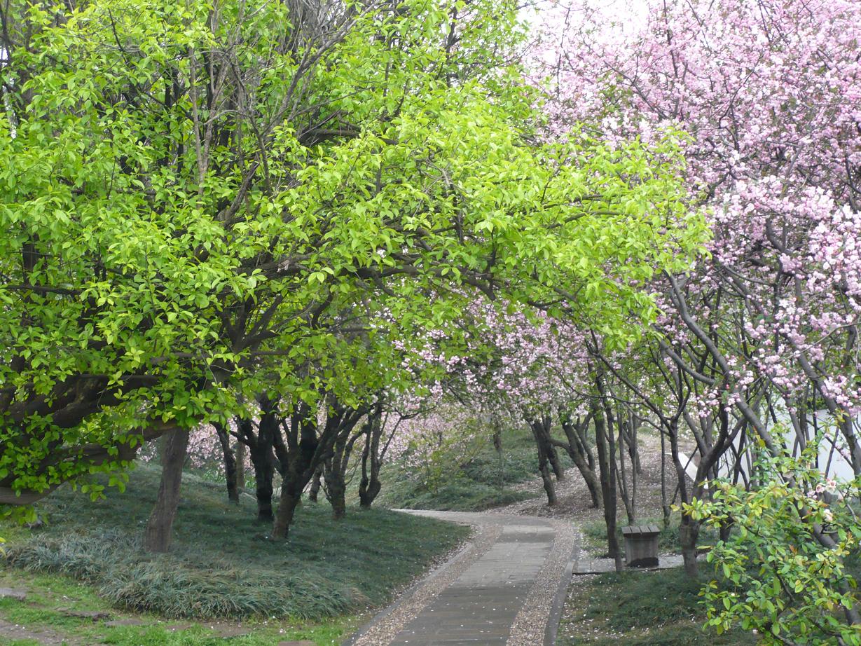 c41ff508b31401056b60fbff.jpg