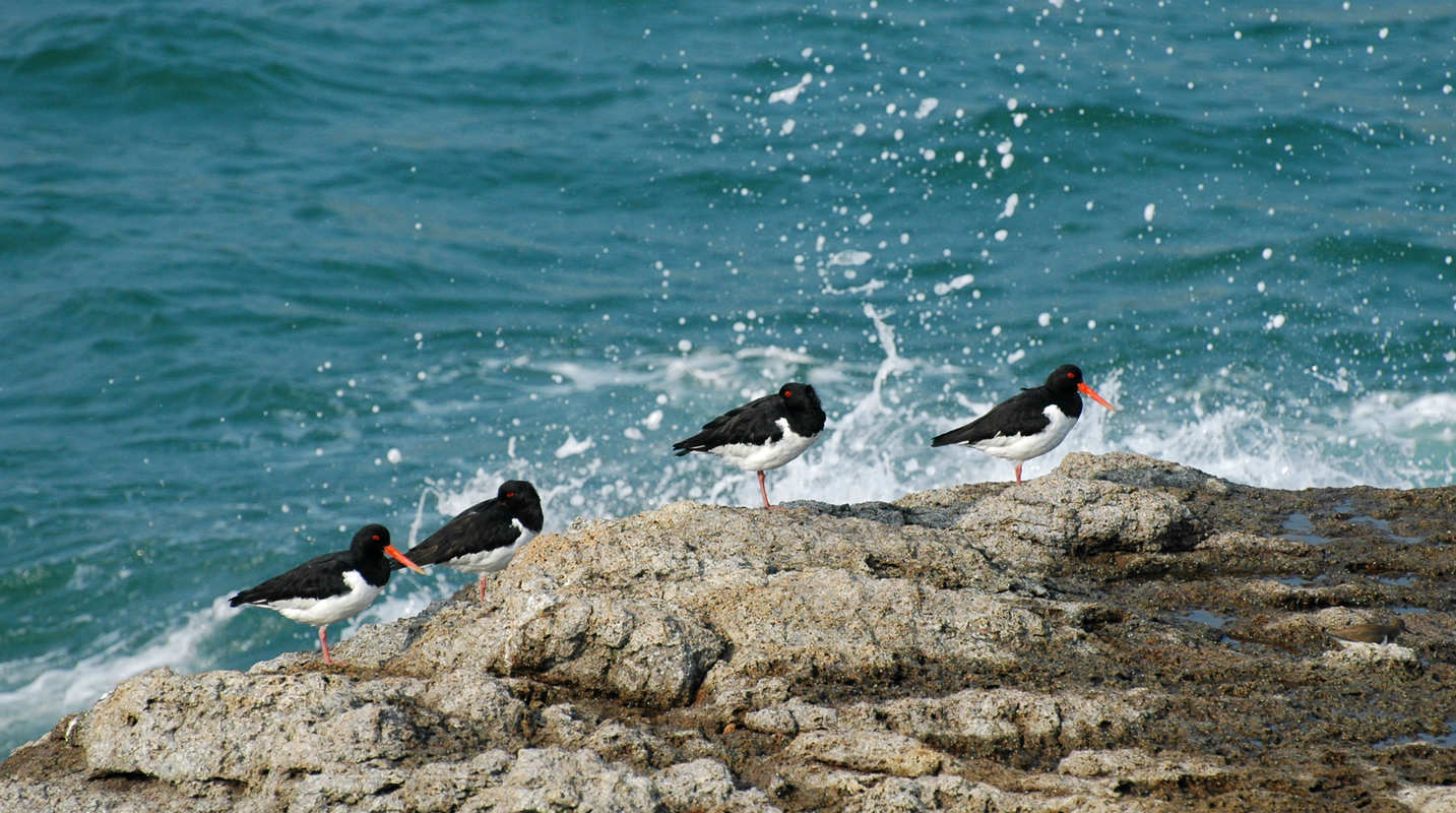 DSC_0358.JPG