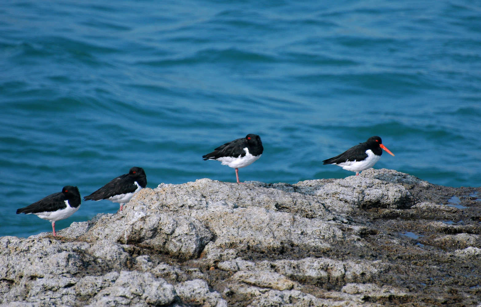 DSC_0359.JPG