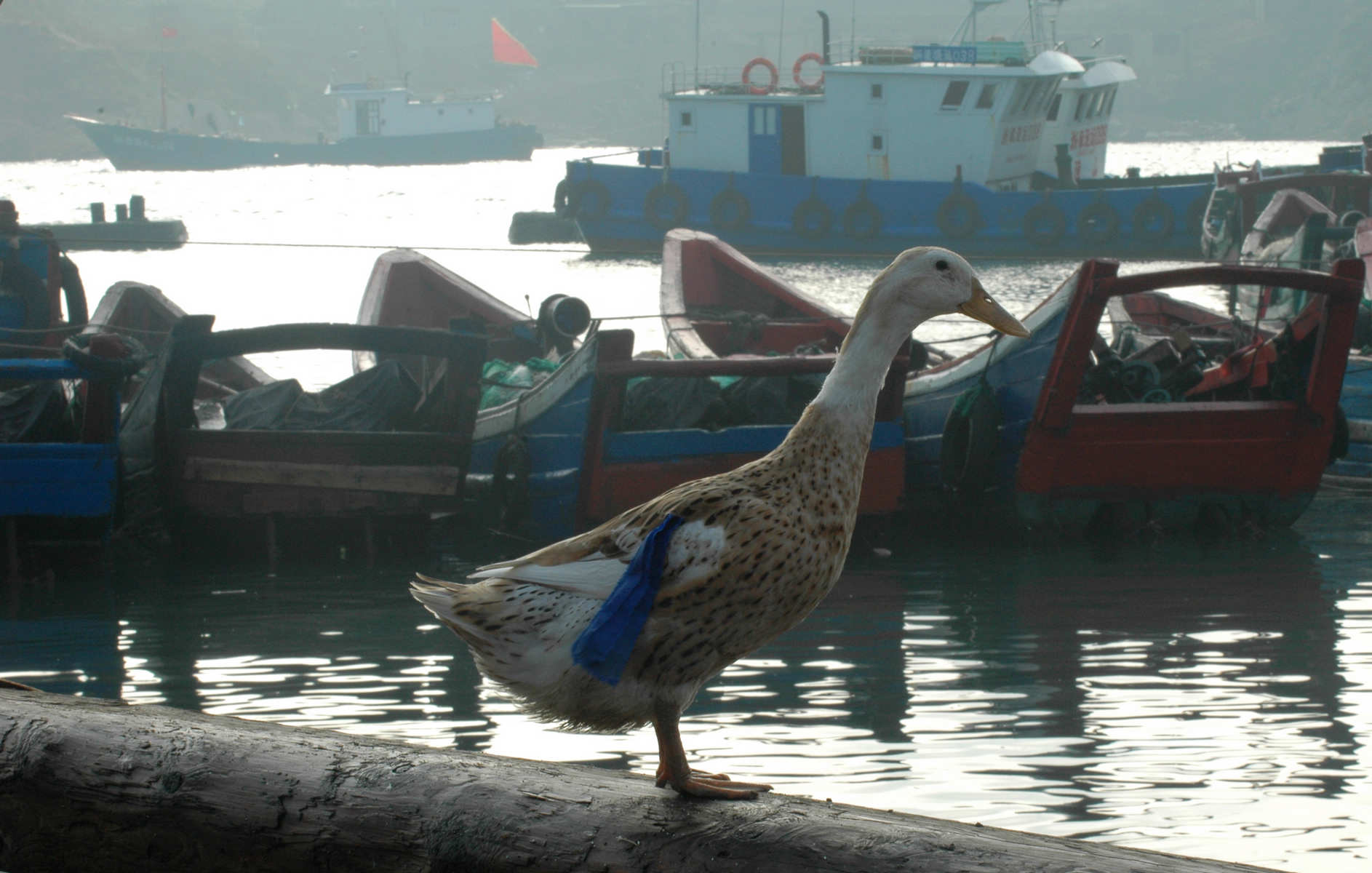 DSC_0317.JPG
