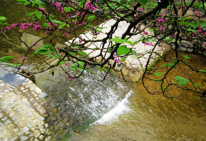 IMG_7687.JPG