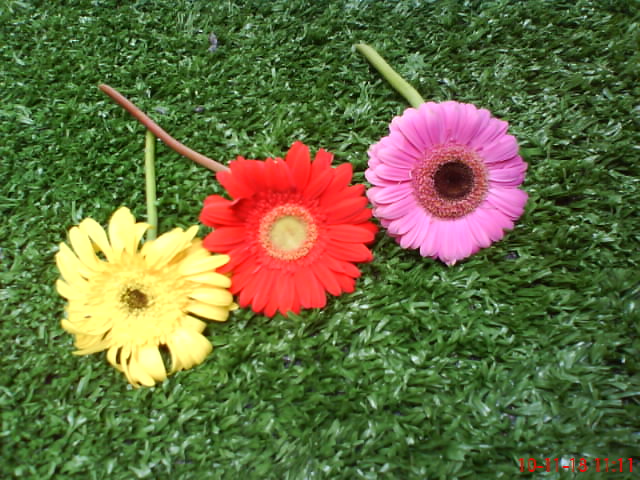 DSC00050.JPG