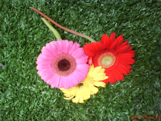 DSC00052.JPG