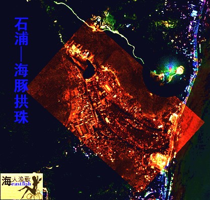 石浦海豚拱珠2_副本.jpg