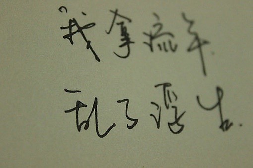 30469231_26082053.jpg