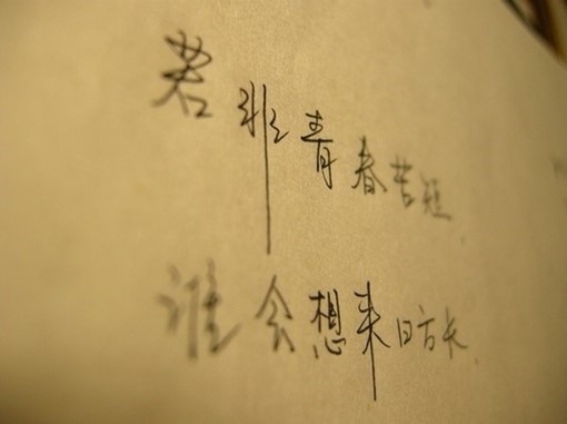 30469589_26082053.jpg