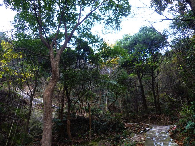 P1020517.JPG