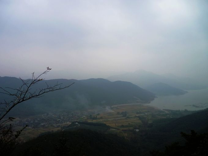 P1020519.JPG