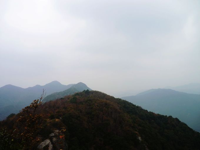 P1020523.JPG