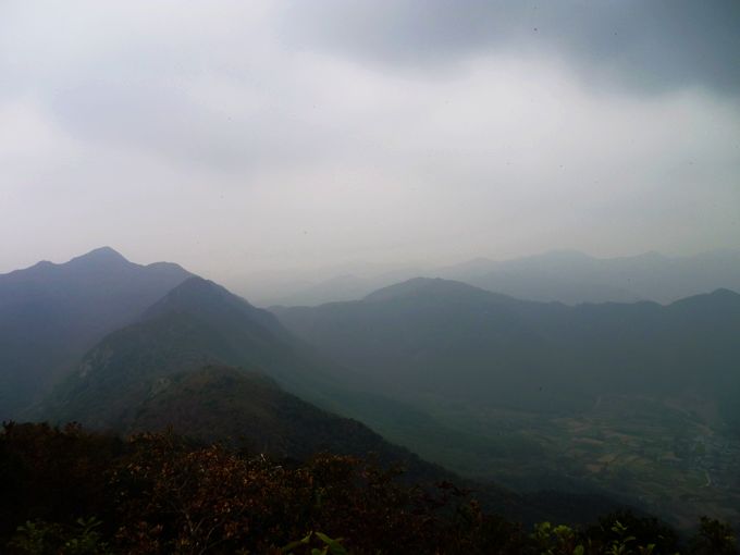 P1020549.JPG