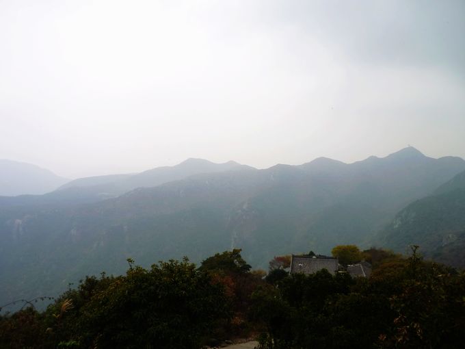 P1020546.JPG