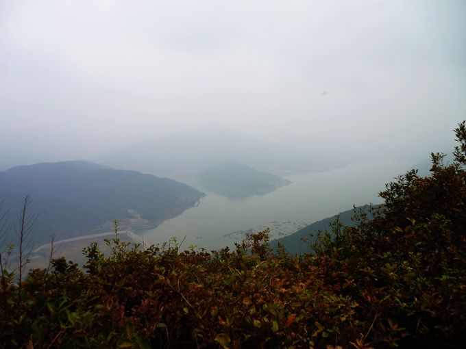 P1020554.JPG