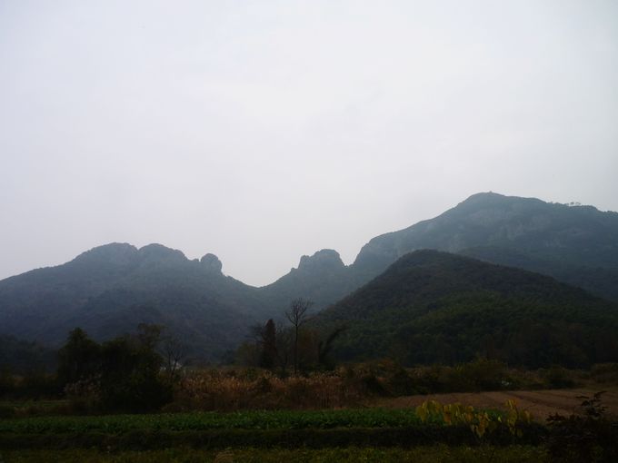 P1020574.JPG