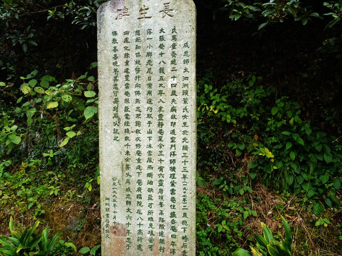 P1020569.JPG